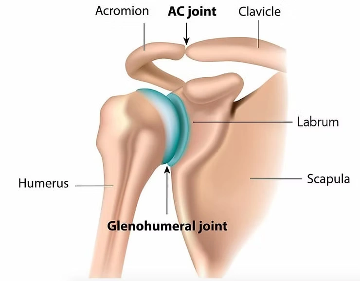Frozen Shoulder Treatment